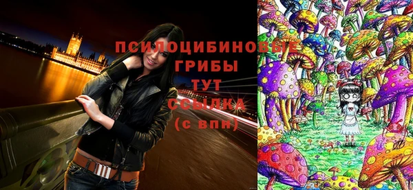 метадон Беломорск
