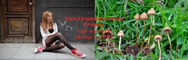 соль курить ск Богородицк