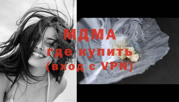 гашик Богданович